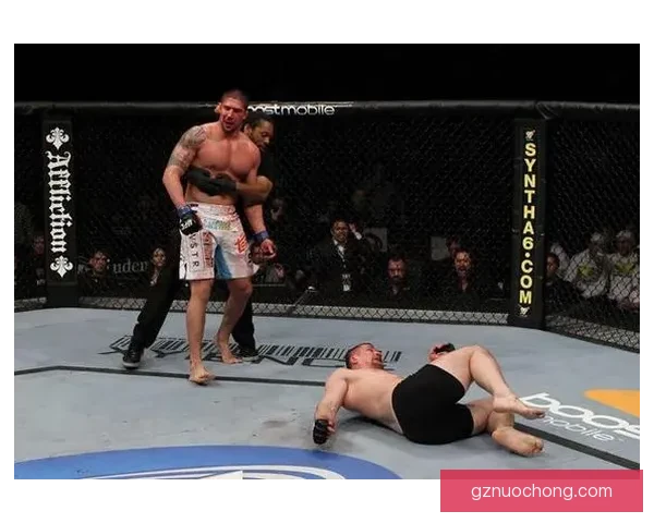 UFC小菊对决锤子巅峰之战技术风格与胜负前瞻解析全面深度观察